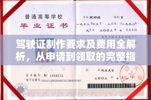 仁德驾驶证制作要求及费用全解析，从申请到领取的完整指南