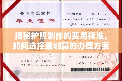 仁德揭秘护照制作的费用标准，如何选择最划算的办理方案？