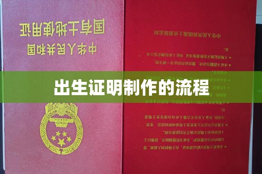 仁德出生证明制作的流程